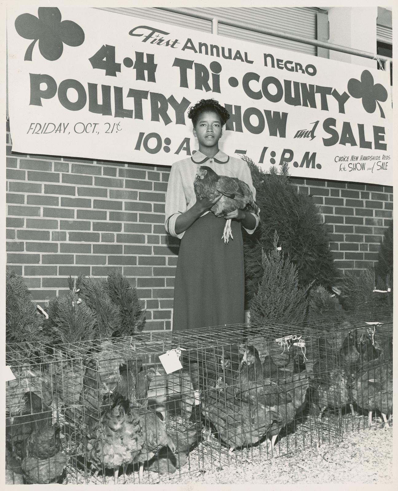 Clemson4_segregatedextensionprogram.jpg